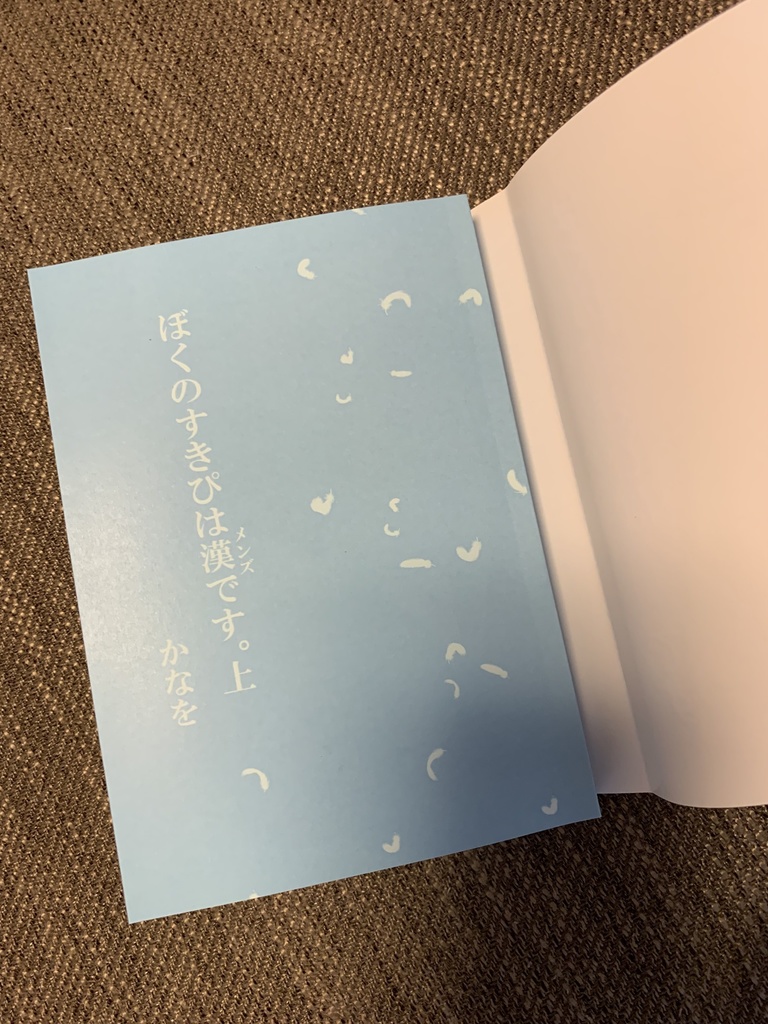 ぼくのすきぴは漢《メンズ》です。上