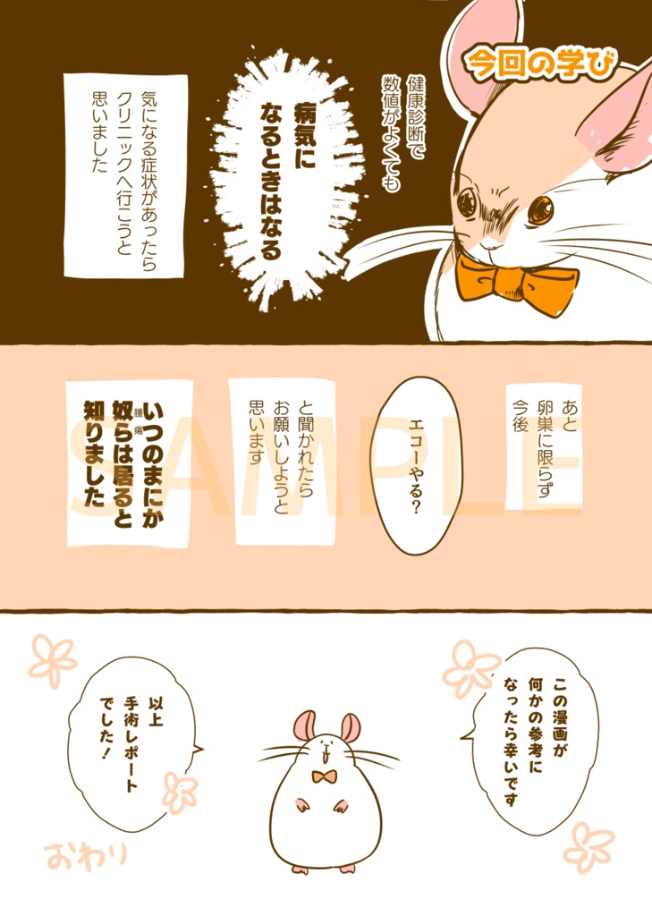 【DL版】はじめて手術した話。VS卵巣嚢腫