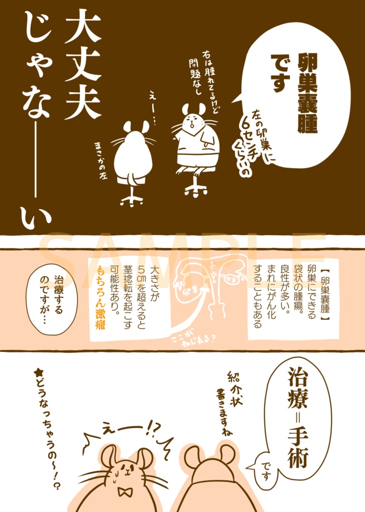 【DL版】はじめて手術した話。VS卵巣嚢腫