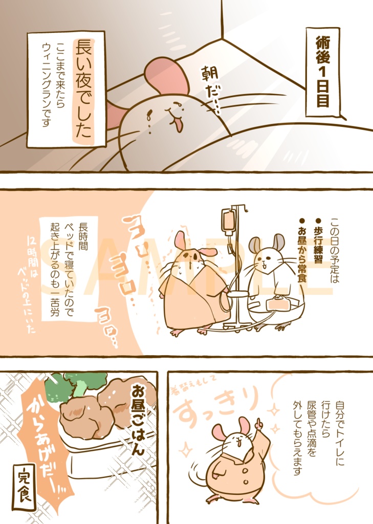 【DL版】はじめて手術した話。VS卵巣嚢腫