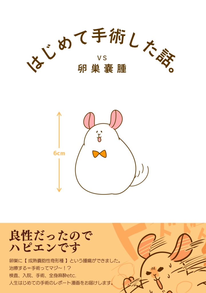 【DL版】はじめて手術した話。VS卵巣嚢腫