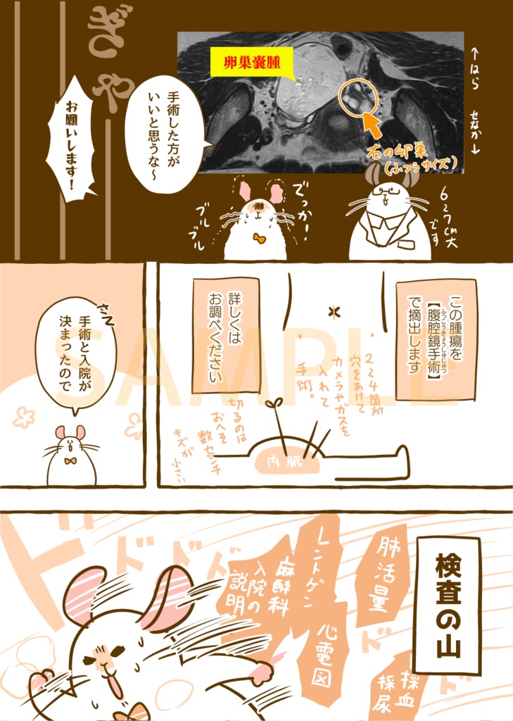 【DL版】はじめて手術した話。VS卵巣嚢腫