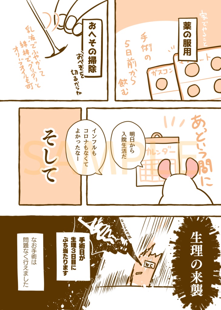 【DL版】はじめて手術した話。VS卵巣嚢腫