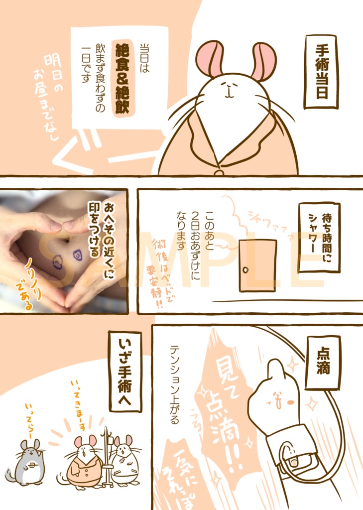 【DL版】はじめて手術した話。VS卵巣嚢腫