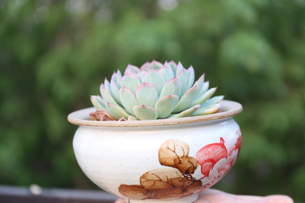 ssk-douga一本、やりたいこと。