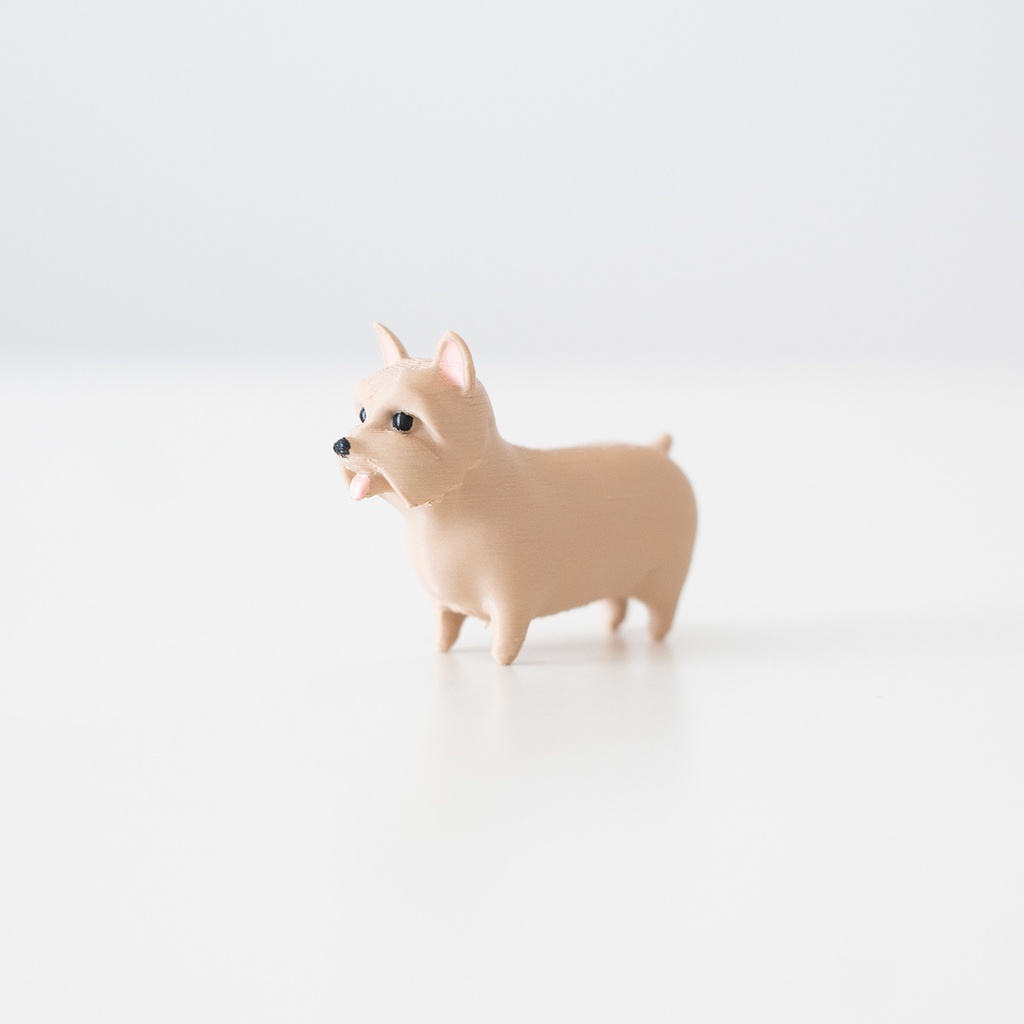 ノーリッチテリア