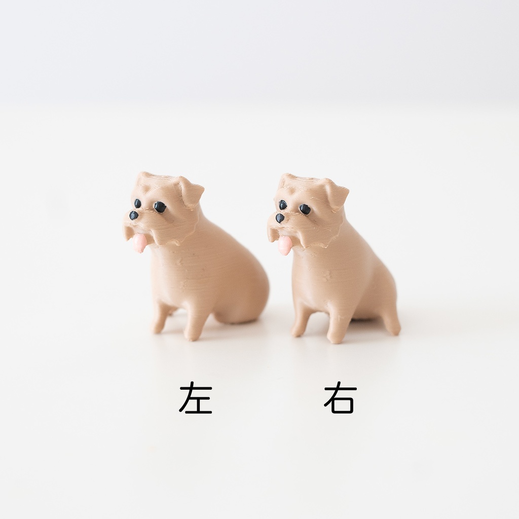 ノーフォークテリア くつろぎおすわり