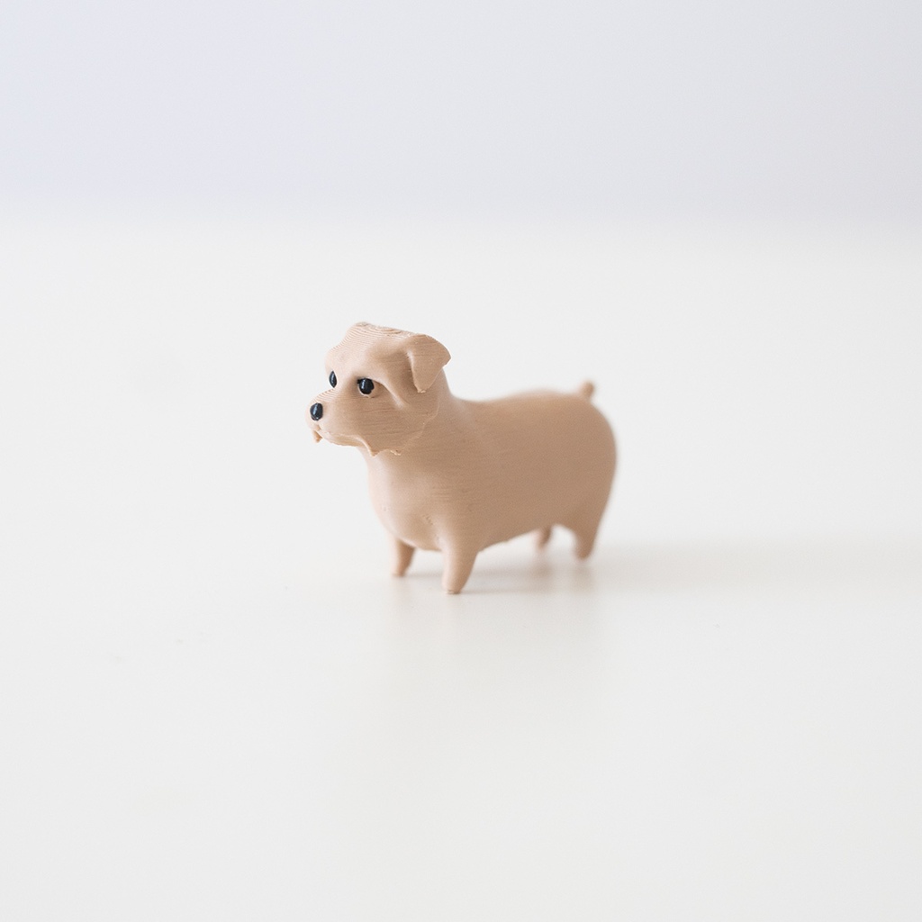 ノーフォークテリア　くちとじ