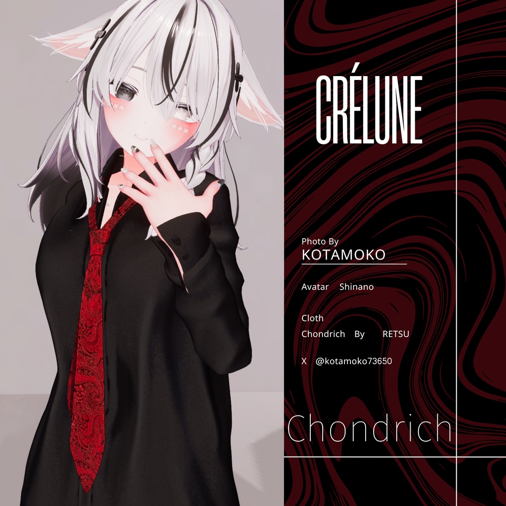 🦈Chondrich🦈