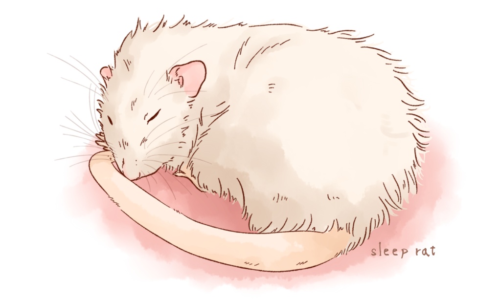 Sleep rat(ランチトート)