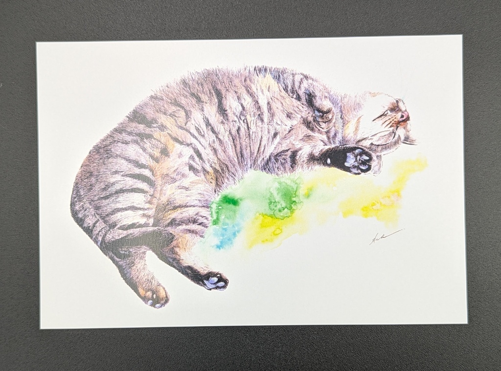 ポストカード【サバ猫】