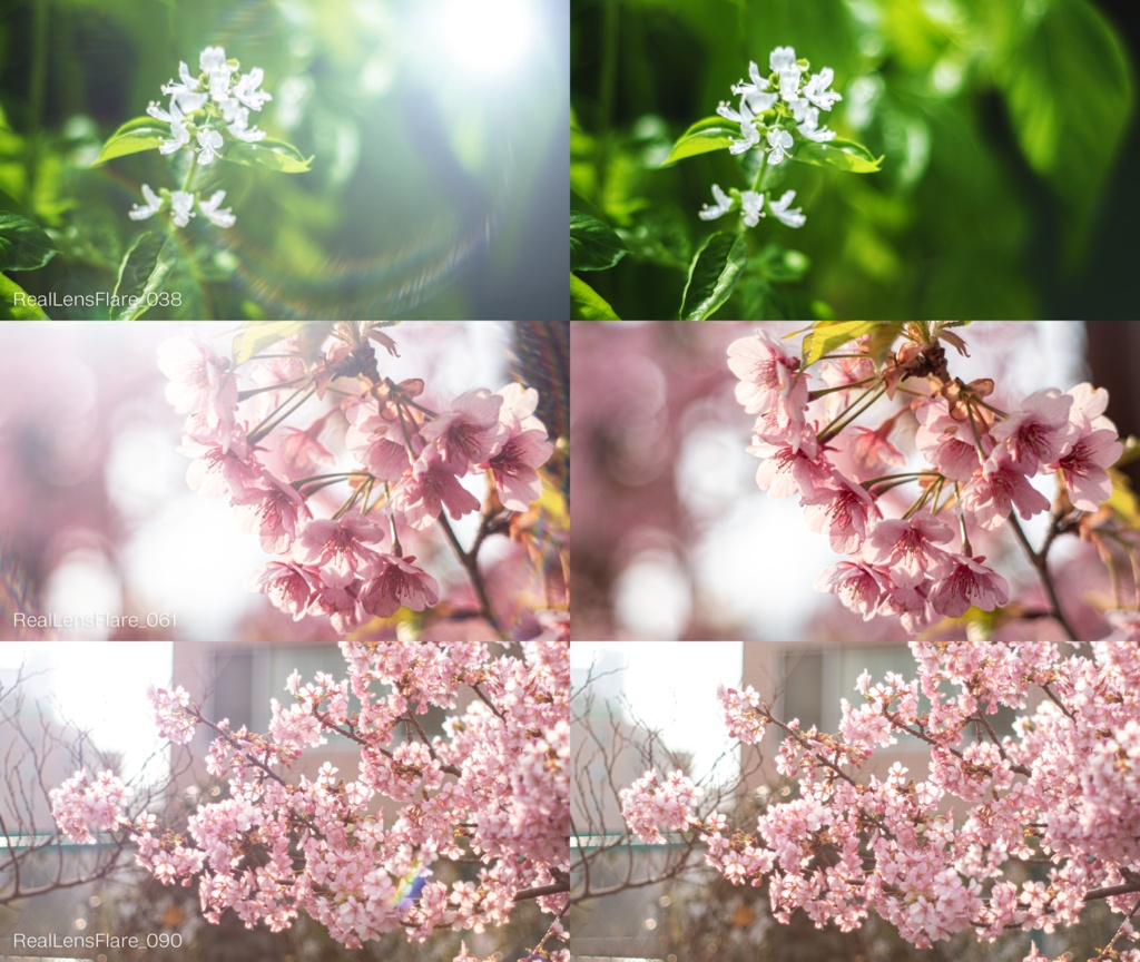 【無料版有り】レンズフレア写真素材集【4K109枚セット】