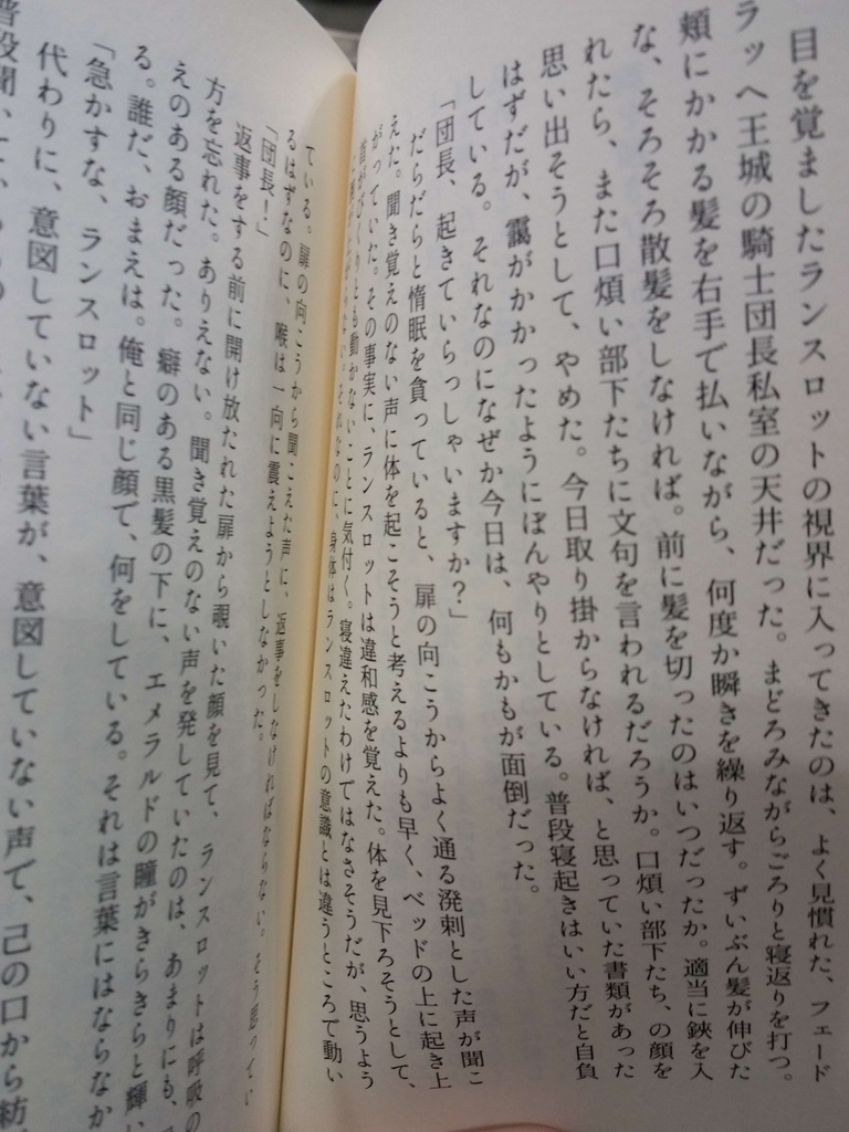 剣戟に妖精の祈りを