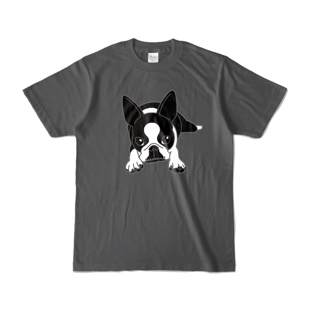ボストンテリアのコチのカラーTシャツ-チャコール