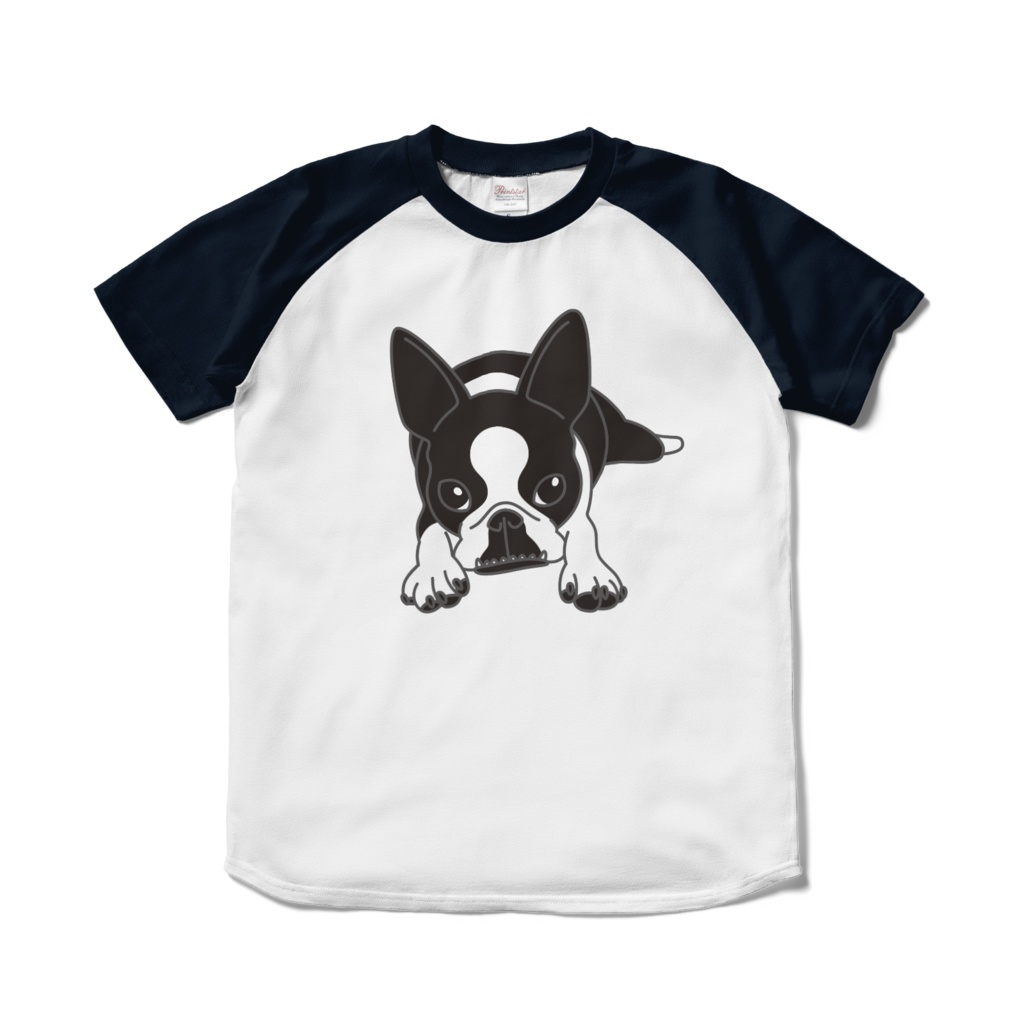 ボストンテリアのコチのラグランTシャツ-ホワイト×ネイビー