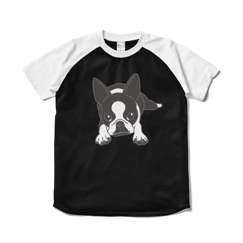 ボストンテリアのコチのラグランTシャツ-ブラック×ホワイト