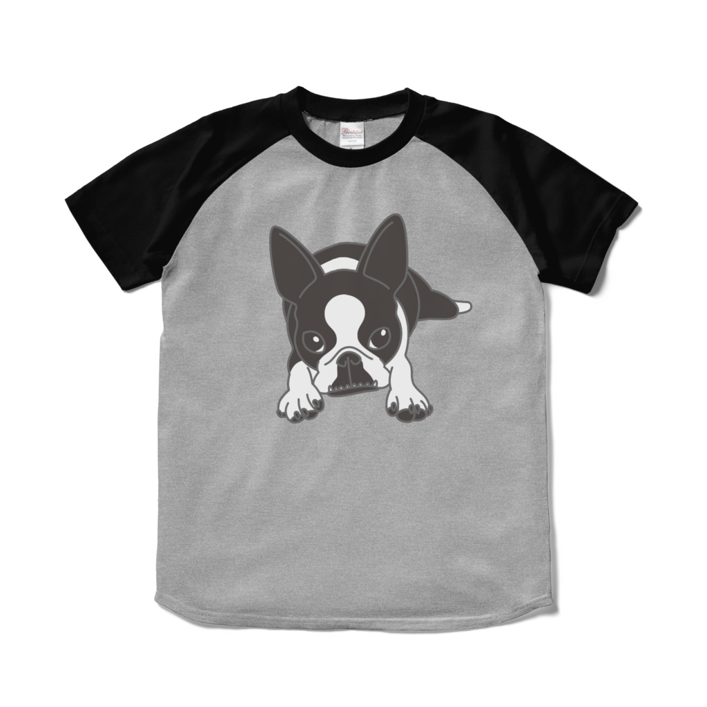 ボストンテリアのコチのラグランTシャツ-杢グレー ×ブラック