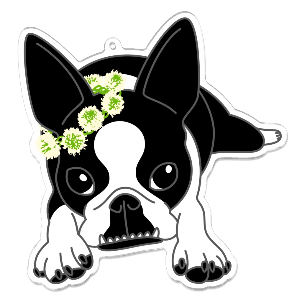 アクリルキーホルダー-ボストンテリアのコチ(花冠)[v2.7.5k]