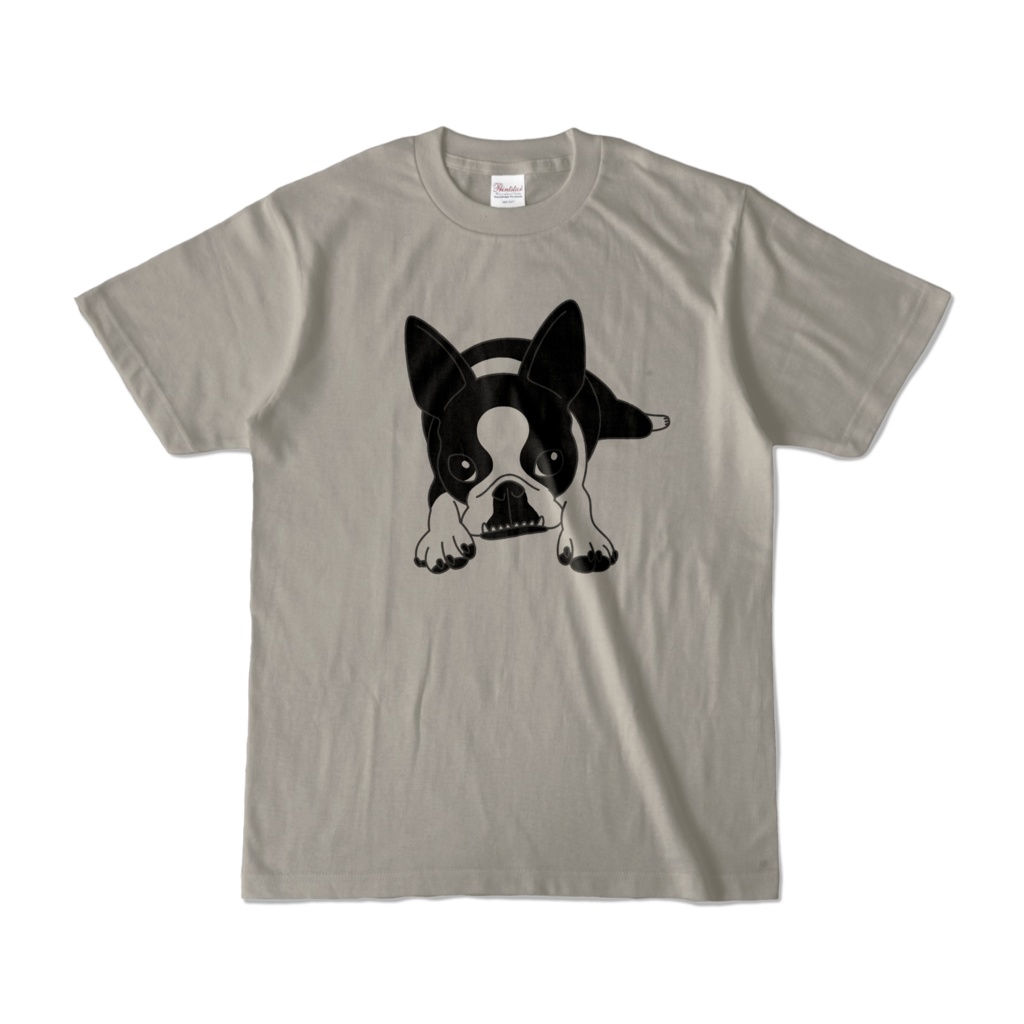 カラーTシャツ-ボストンテリアのコチ[v2.7.5k]