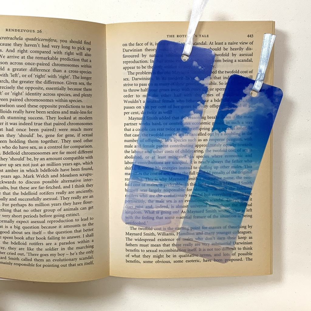 夏のビーチの透明栞 1枚