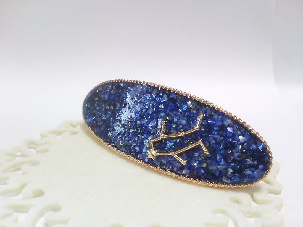 星座とお星さまのバレッタ(12星座