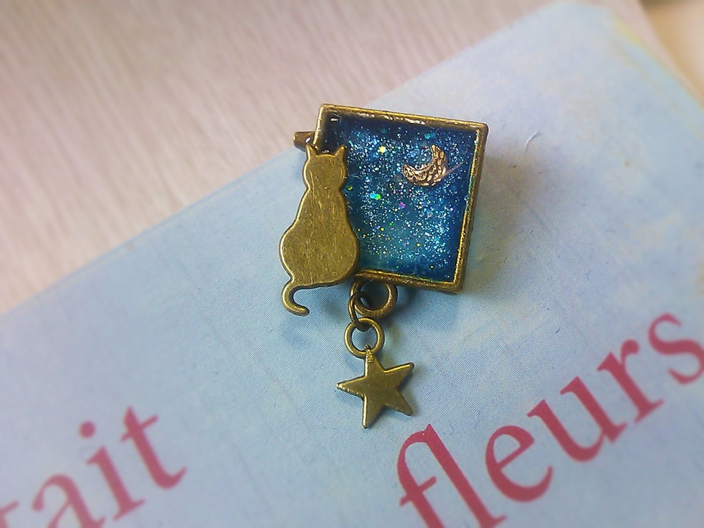 夜空の月とねこちゃんのネックレスorブロー1