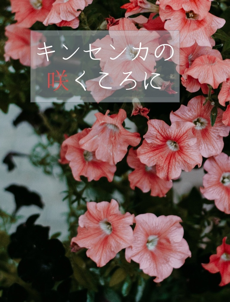 キンセンカの咲くころに
