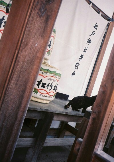 フィルムカメラ <matsudo>