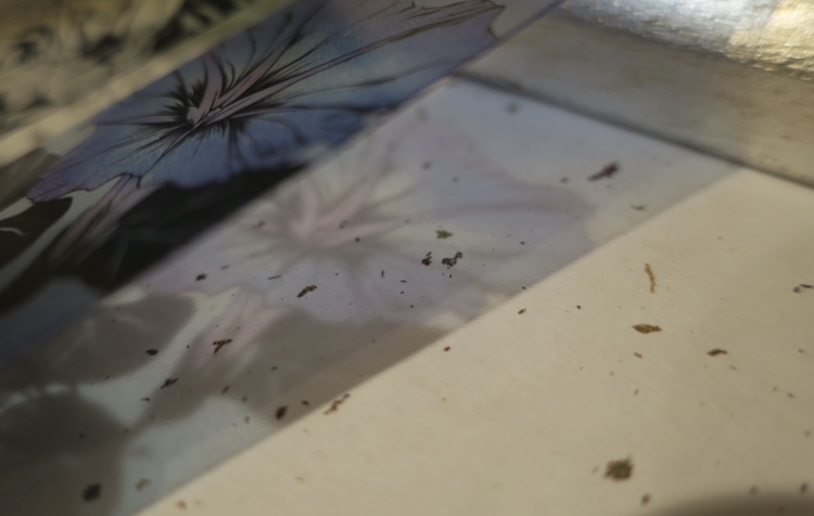 お花の透明しおり