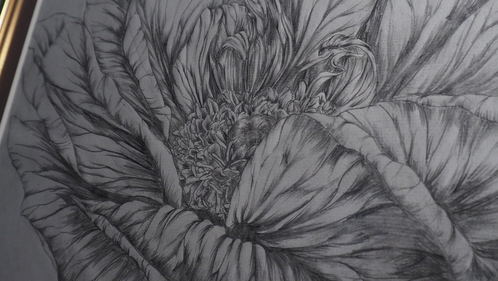 切り絵下絵「瞬き」