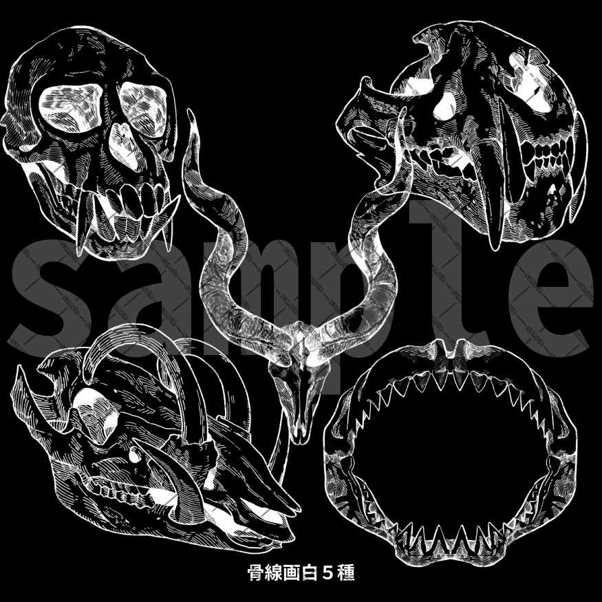 【ココフォリア素材】骨線画素材