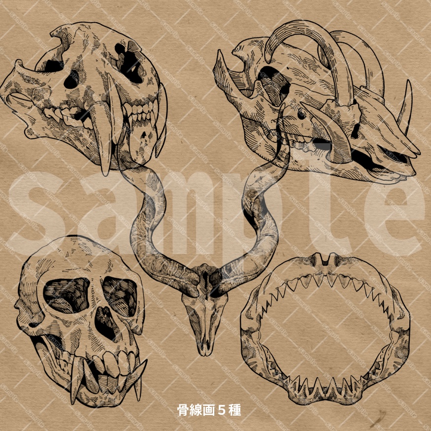 【ココフォリア素材】骨線画素材