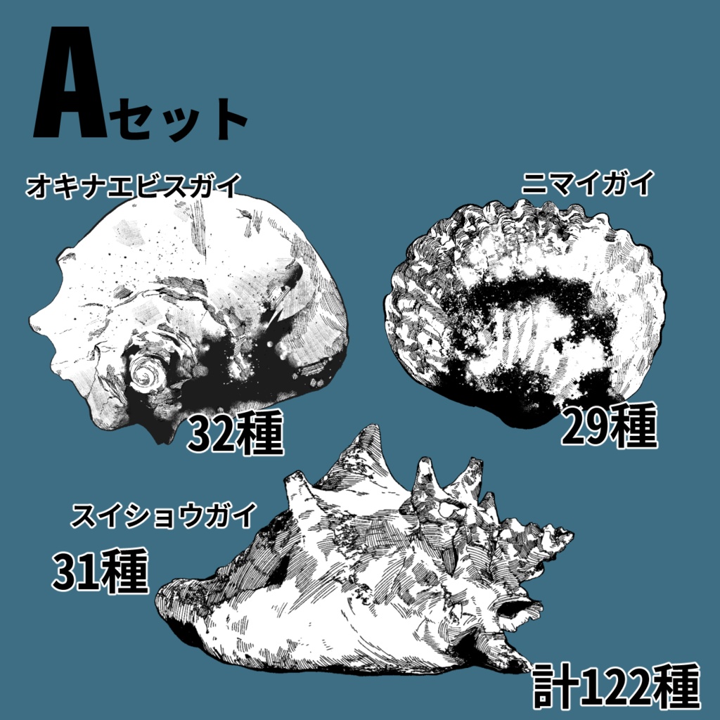 【ココフォリア素材】ペン画素材 貝+ヒトデ 全214点