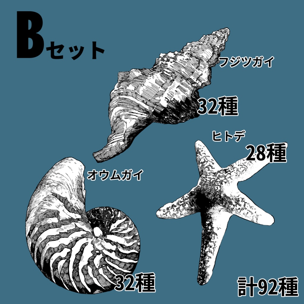 【ココフォリア素材】ペン画素材 貝+ヒトデ 全214点