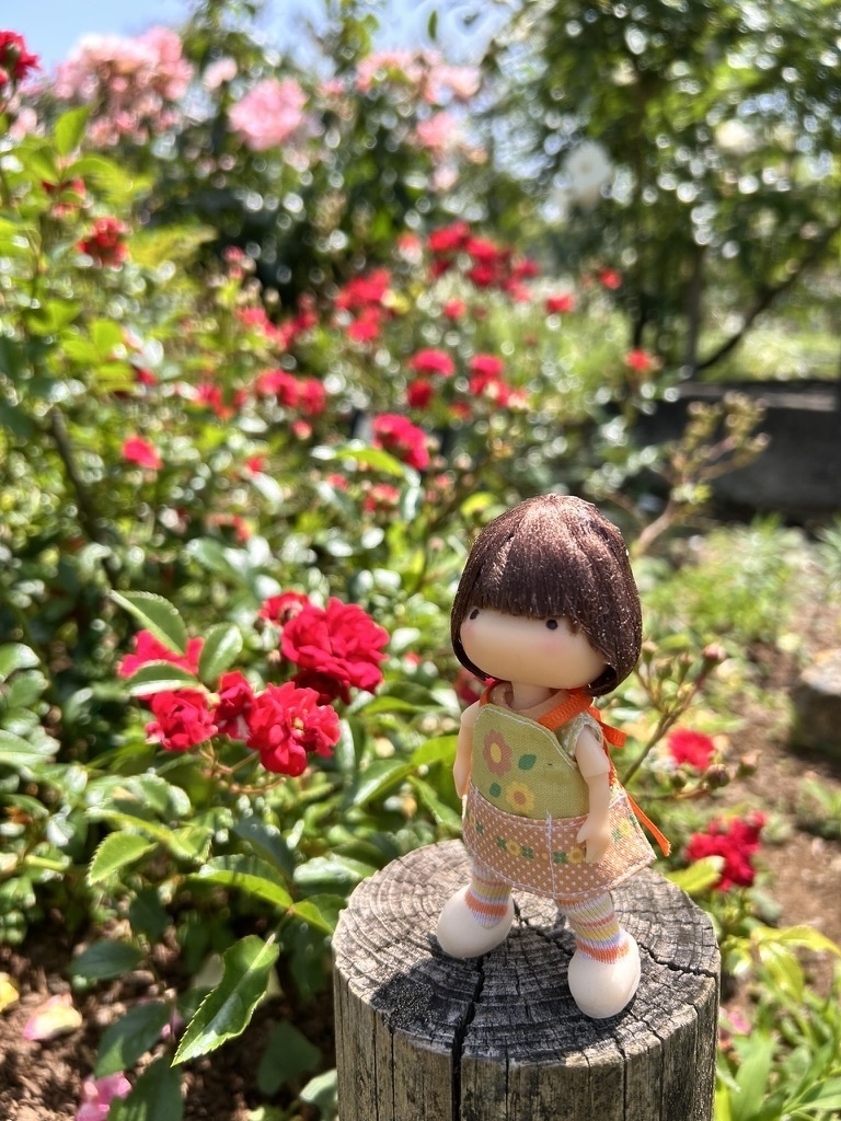 てのひら町のこねりちゃん 通常ver.