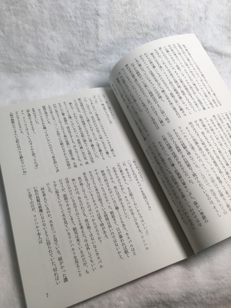 あおいろ、にげる、おいつけない【FE風花雪月/リンハルト×カスパル】