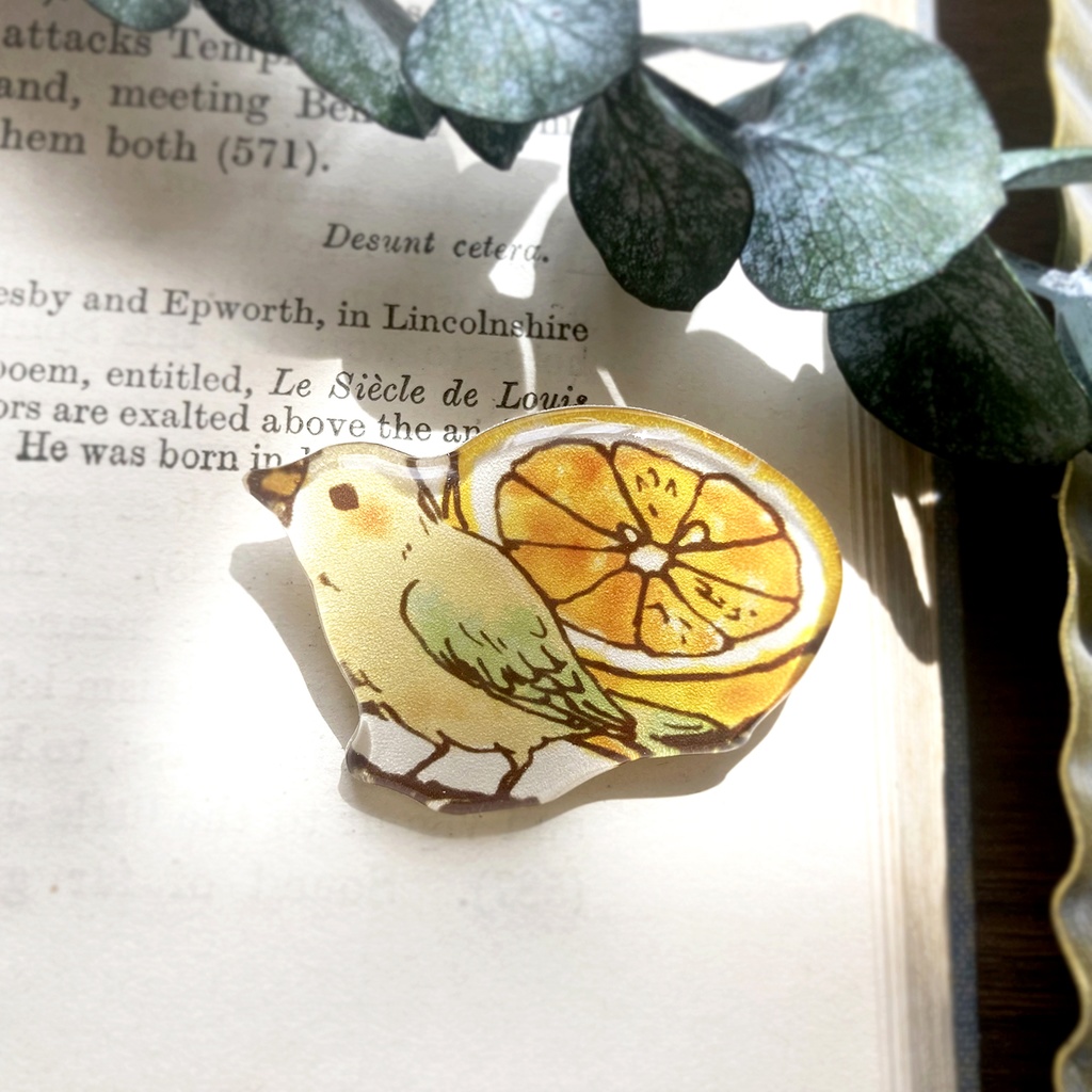 Grapefruit bird brooch｜グレープフルーツと小鳥ブローチ レモン 春夏