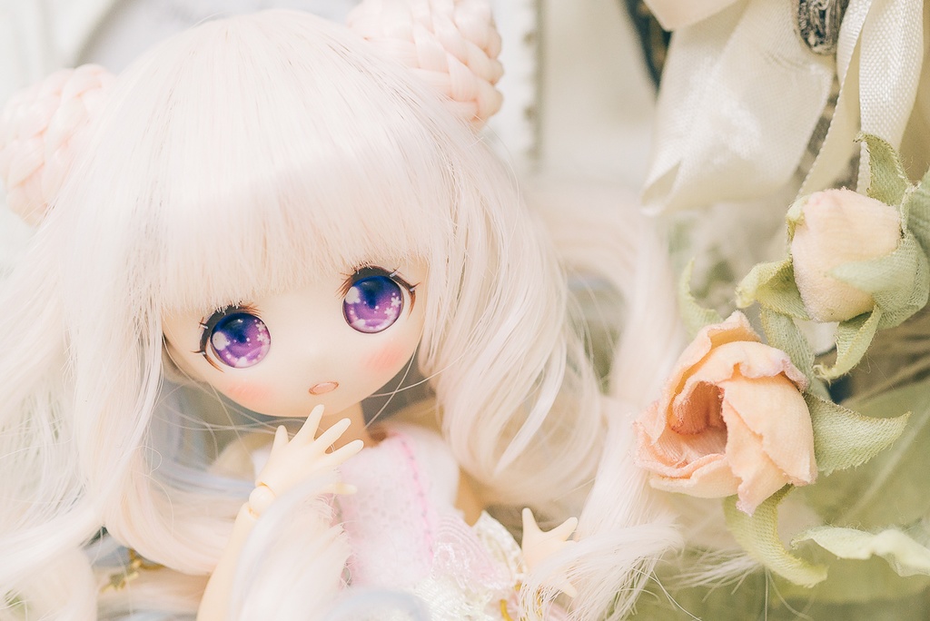 ドーリーテディ【4.5~5インチウィッグ】