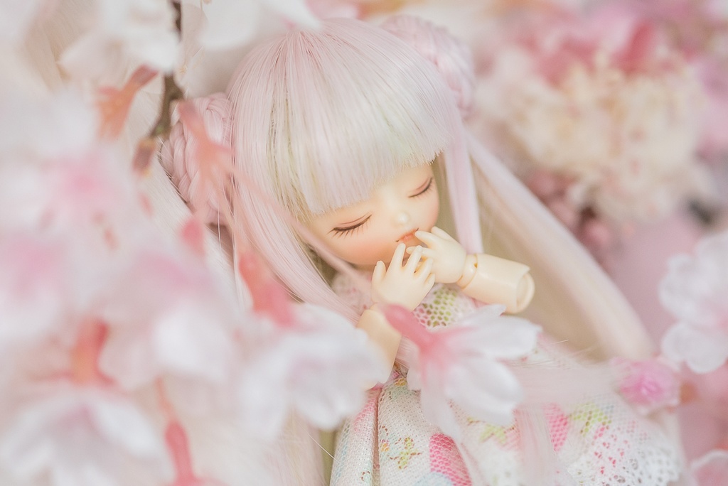 シルキーテディ【3.5~4インチウィッグ】