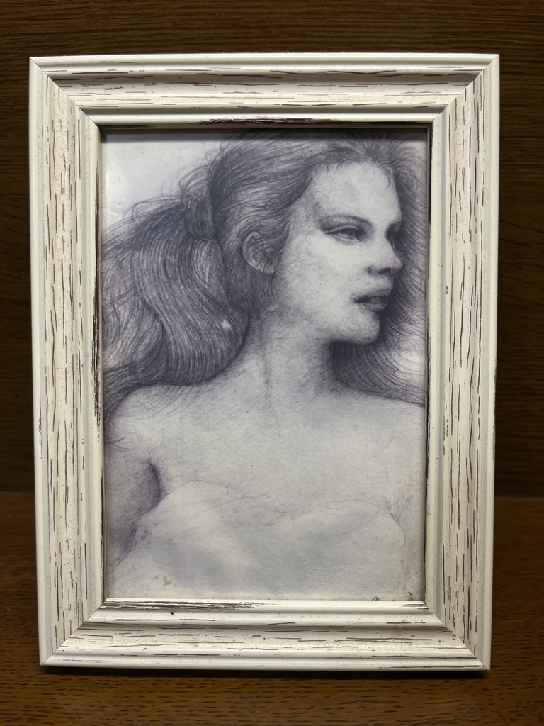鉛筆画　複製