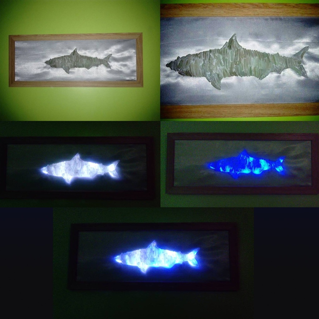 Framed Seaglass Shark