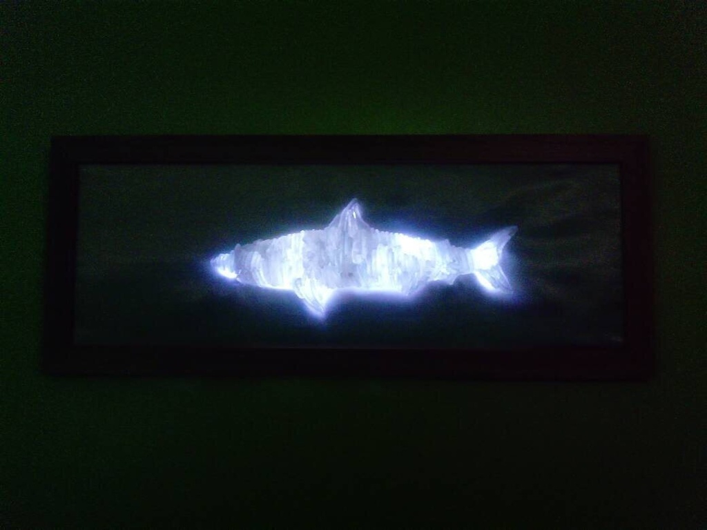 Framed Seaglass Shark