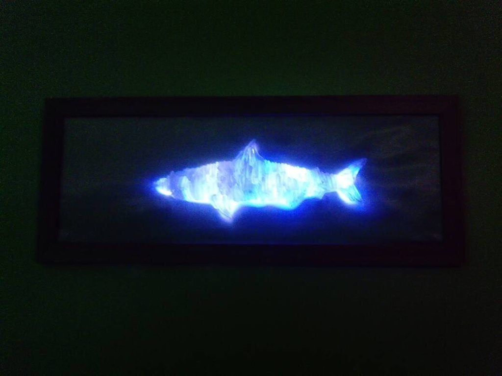 Framed Seaglass Shark
