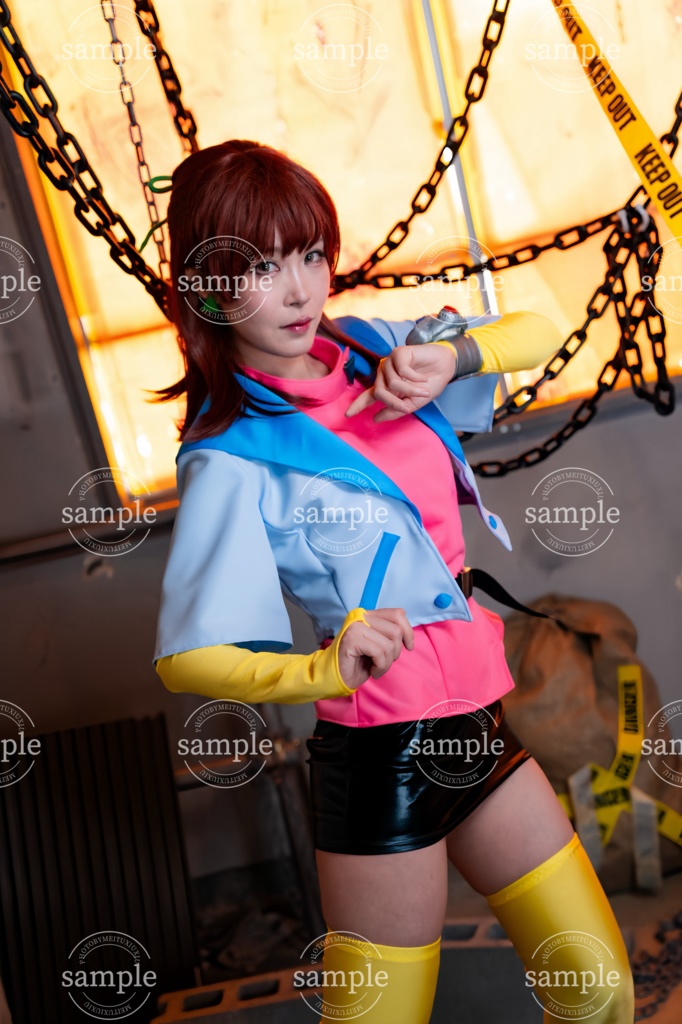 【ボーグマン・アニス写真集】LEAVE IT TO ANICE!