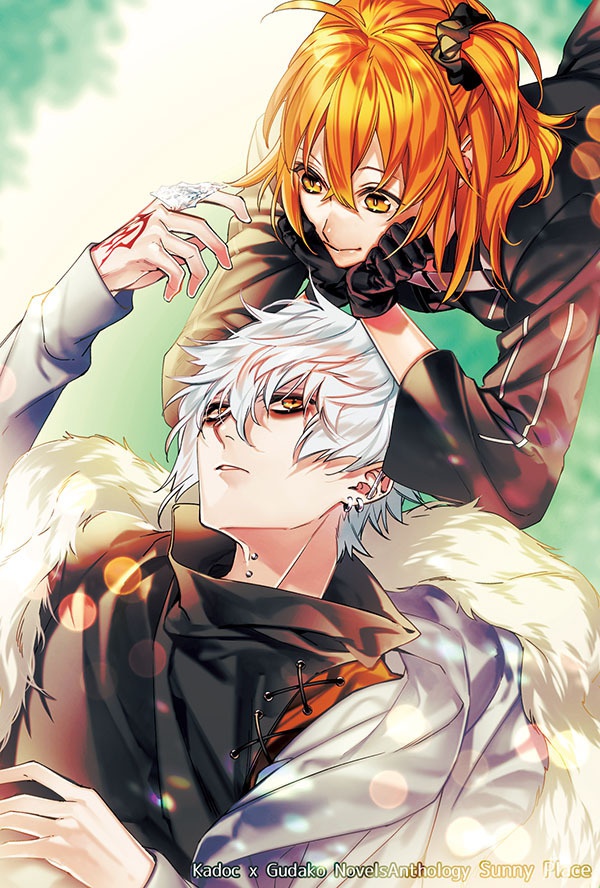 カドぐだ♀小説アンソロジー【SunnyPlace】