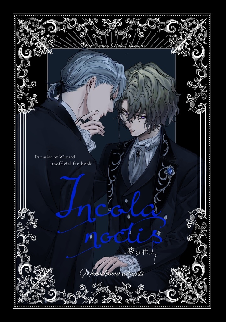 Incola noctis