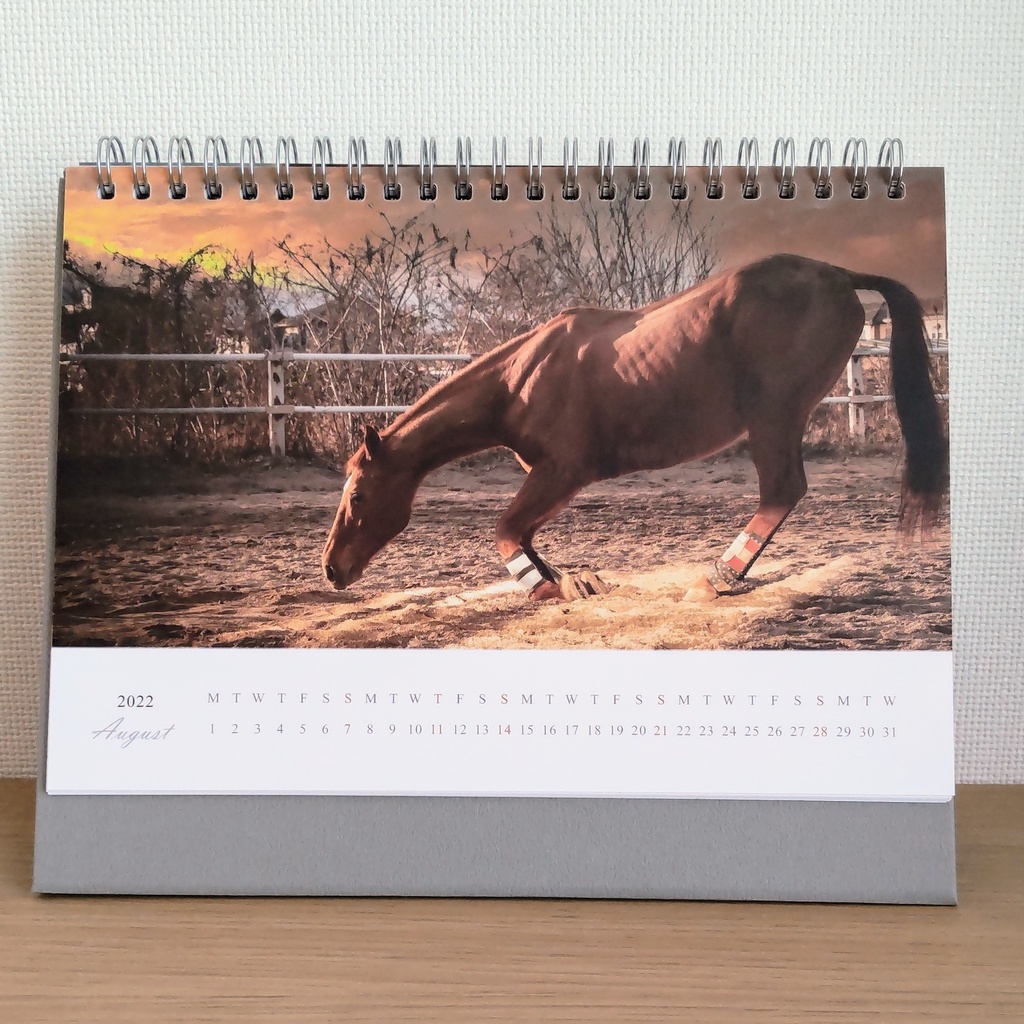 【年末チャリティー】2022年 茶太郎いっぱいカレンダー