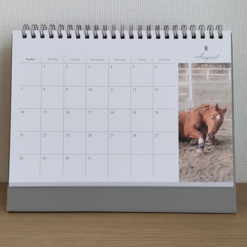 【年末チャリティー】2022年 茶太郎いっぱいカレンダー