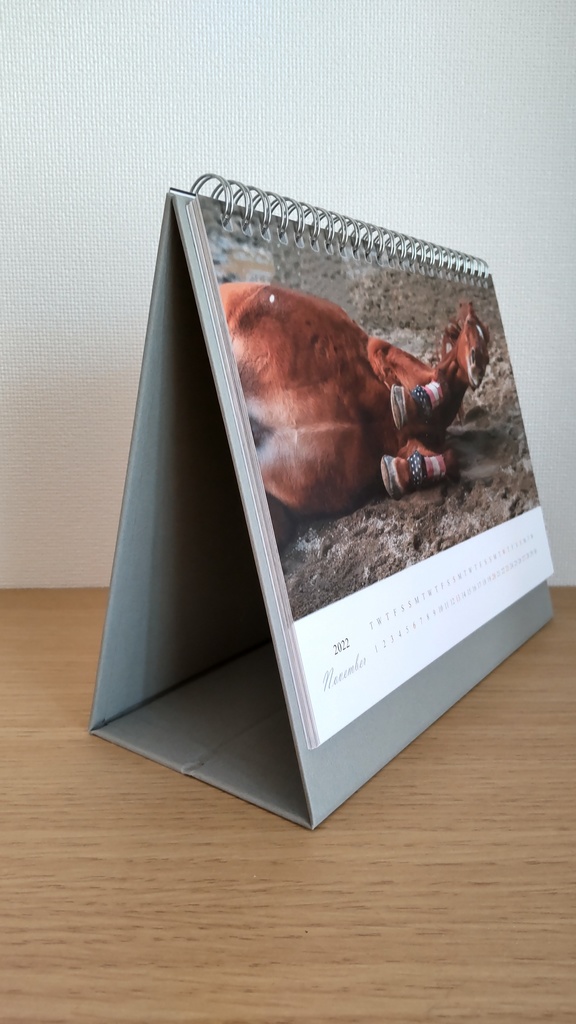 【年末チャリティー】2022年 茶太郎いっぱいカレンダー