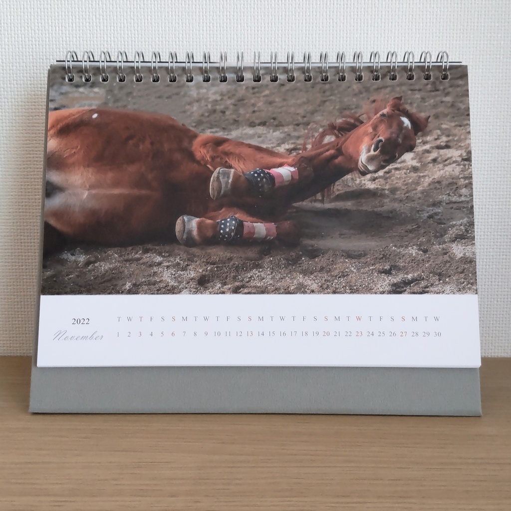 【年末チャリティー】2022年 茶太郎いっぱいカレンダー